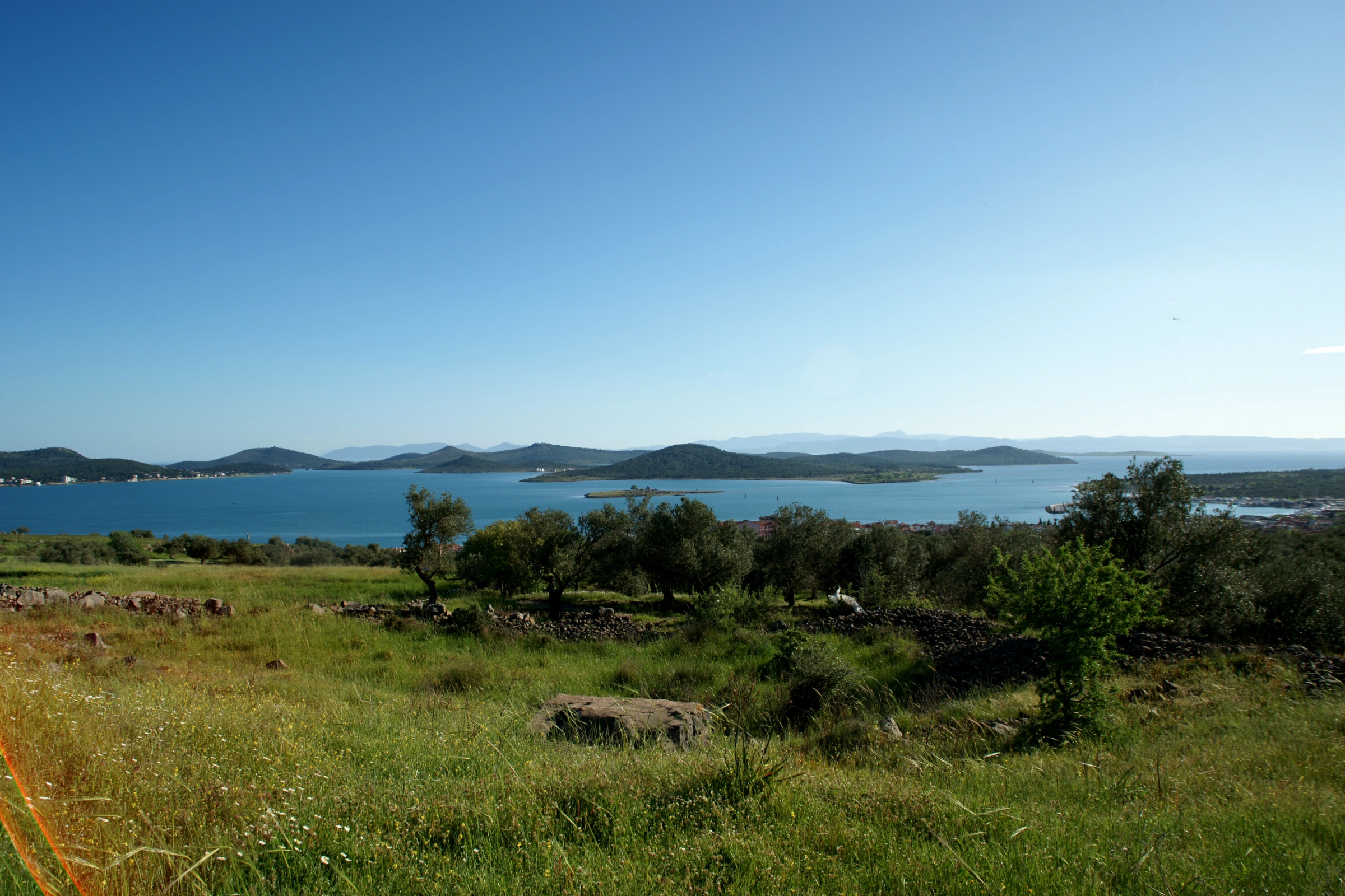 Ali_Island[1].webp